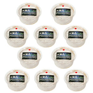 ێJbv@喲A@vXybN@iJ^Pj@Jbv@200cc@10