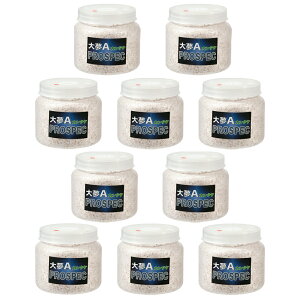 ێr@喲A@vXybN@iJ^Pj@NA[{g@500cc@10{