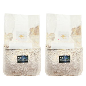 ێubN@喲A@vXybN@iJ^Pj@ubN@4250cc@2