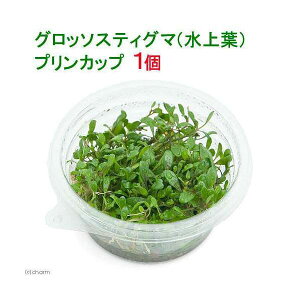 ijOb\XeBO}itjvJbvi_ji1j@kCEBq֗vۉ