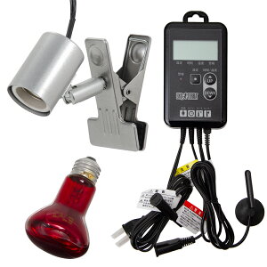 ঒ޕۉZbg@Ctbhq[gv@50W@CgX^h@ۉ@T[@֓