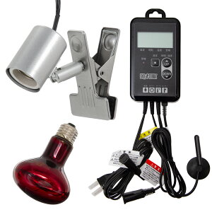 ঒ޕۉZbg@Ctbhq[gv@75W@CgX^h@ۉ@T[@֓