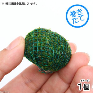 ijā@EB[X@{[itji_ji1j