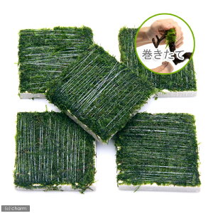 ijā@EB[X@^Citji_ji1j