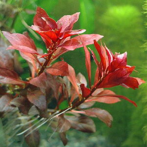 ijhEBWA@yX@ritji_ji6{j