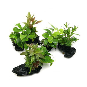 ij؁@U@{TC@verDAkrAXii@S[f@STCYitji3{ji15cmj