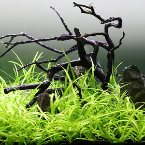 ijsO~[`F[TW^Aitji_ji10j