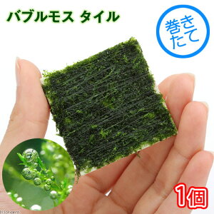 ijā@ouX@^Citji_ji1j