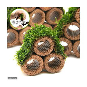 ijā@Ct}`ijăEB[XRe[Wijitji_ji1j