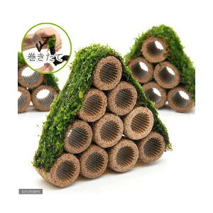 ijā@Ct}`ijăEB[XRe[Wijitji_ji1j