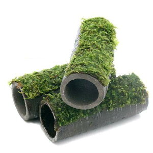 ijā@vqăvRVF^[@@ăEB[Xtitji_ji1j