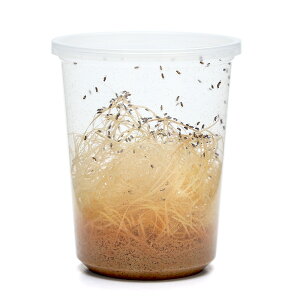 iajgjhVEWEoGitCgXj@vRi1j@^JG@T}_[@a@GT@a@kCEBq֗vۉ