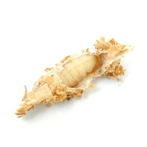 iajnj[[@@100C^1Jbvi1`2cmji1j@঒ށ@ށ@a