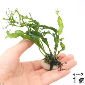 ijΕt@~N\E@EFfBti1j