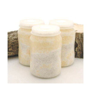 ێr@XL|POT@J^P@800cc@5{