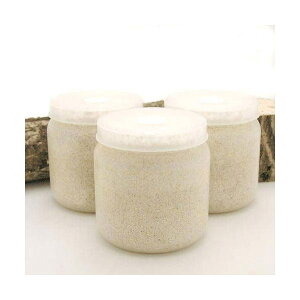 ێr@XL|POT@J^P@1400cc@5{