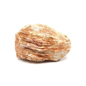 `󂨔C@Z΁@STCYi8`13cmj@1@ANAE@CAEgfށ@֓