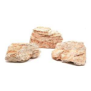 `󂨔C@Z΁@MTCYi13`18cmj@3@ANAE@CAEgfށ@֓