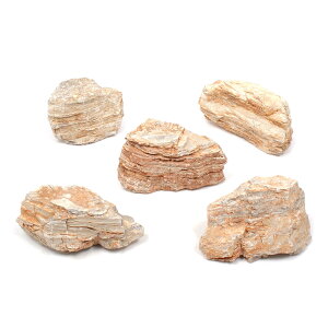 `󂨔C@Z΁@MTCYi13`18cmj@5@ANAE@CAEgfށ@֓