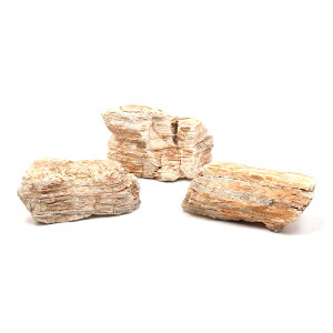 `󂨔C@Z΁@LTCYi18`23cmj@3@ANAE@CAEgfށ@֓