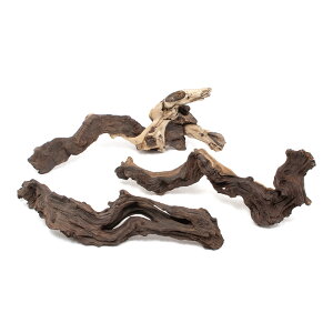 `󂨔C@ύݍς݁@plEbh@LTCYi35`45cmj@3{@֓