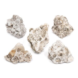 `󂨔C@Ì΁@SSTCYi5`8cmj@5@ANAE@CAEgfށ@֓