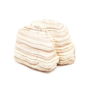 形状お任せ 淡層石 Sサイズ(約8〜13cm) 1個 アクアリウム レイアウト素材 関東当日便