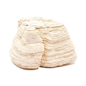 `󂨔C@Ww΁@MTCYi13`18cmj@1@ANAE@CAEgfށ@֓