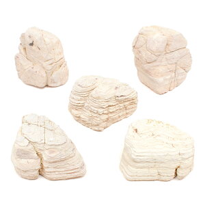 `󂨔C@Ww΁@MTCYi13`18cmj@5@ANAE@CAEgfށ@֓