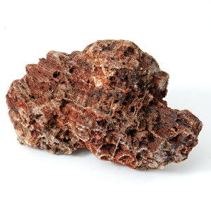 形状お任せ 海洋古代石 Sサイズ(約8〜13cm) 1個 アクアリウム レイアウト素材 化石 関東当日便