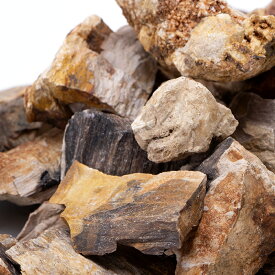 形状お任せ　木化石　スモールサイズミックス（約2〜6cm）　1kg　アクアリウム　レイアウト素材　関東当日便