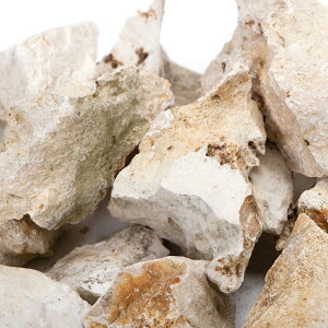 形状お任せ 化石サンゴ スモールサイズミックス(約2〜10cm) 1kg メダカ アフリカンシクリッド 海水 アクアリウム レイアウト素材 関東当日便