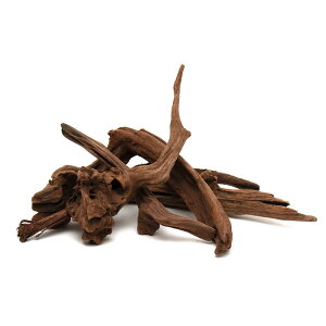 `󂨔C@ύݍς݁@傢@㎿؁@@MTCYi20`30cmj@5{Zbg@CAEgfށ@؁@֓