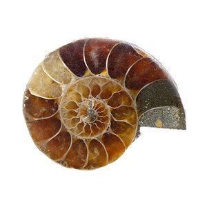 `󂨔C@}_KXJY@AiCg@XCX@1@I@΁@֓