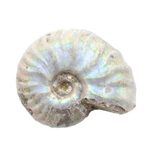 `󂨔C@}_KXJY@FAiCg@S@1@I@΁@֓