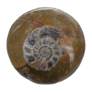 `󂨔C@bRY@SjA^Cg@AiCg@S@1@f{I@΁@֓