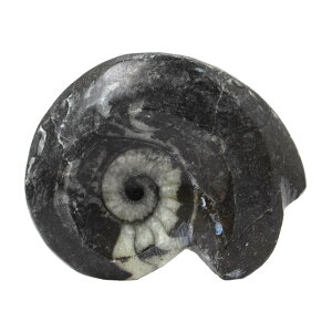 `󂨔C@bRY@X|hZX@AiCg@LTCY@1@f{I@΁@֓