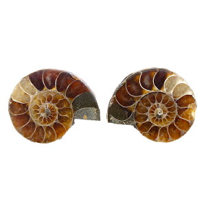 `󂨔C@}_KXJY@AiCg@XCX@1yA@I@΁@֓