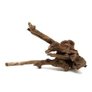 `󂨔C@ύݍς݁@fBA[z[Ebh@STCYi15`25cmj@1{@CAEgfށ@󗬖؁@֓