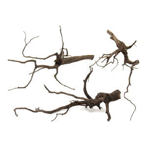 形状お任せ 煮込み済み スパークウッド Mサイズ(約20〜30cm) 3本 レイアウト素材 枝状流木 関東当日便