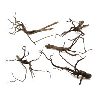 形状お任せ　煮込み済み　スパークウッド　Mサイズ（約20〜30cm）　5本　アクアリウム　レイアウト素材　…