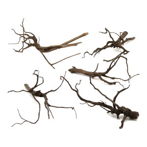 `󂨔C@ύݍς݁@Xp[NEbh@MTCYi20`30cmj@5{@CAEgfށ@}󗬖؁@֓