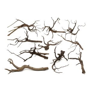 `󂨔C@ύݍς݁@Xp[NEbh@MTCYi20`30cmj@10{@CAEgfށ@}󗬖؁@֓