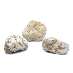 `󂨔C@k΁@LTCYi17`20cmj@1@ANAE@CAEgfށ@֓