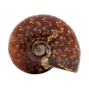 `󂨔C@}_KXJY@DAiCg@M@1@I@΁@֓