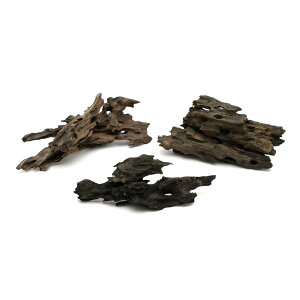 `󂨔C@ύݍς݁@njJEbh@MTCYi20`25cmj@3{@֓