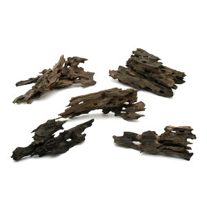 `󂨔C@ύݍς݁@njJEbh@MTCYi20`25cmj@5{@ANAE@CAEgfށ@؁@֓