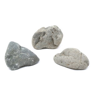 `󂨔C@΁@MTCYi12`17cmj@1@ANAE@CAEgfށ@_J@@঒ށ@ށ@{YW@֓