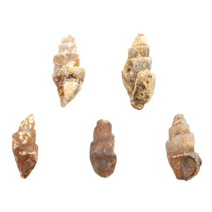 `󂨔C@bRY@퉻@L΁@5@nV@L΁@΁@֓