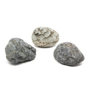 `󂨔C@΁@MTCYi10`15cmj@1@ANAE@CAEgfށ@֓